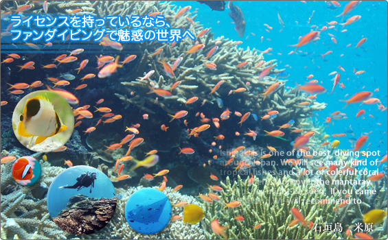 �Ί_���Ń_�C�r���O