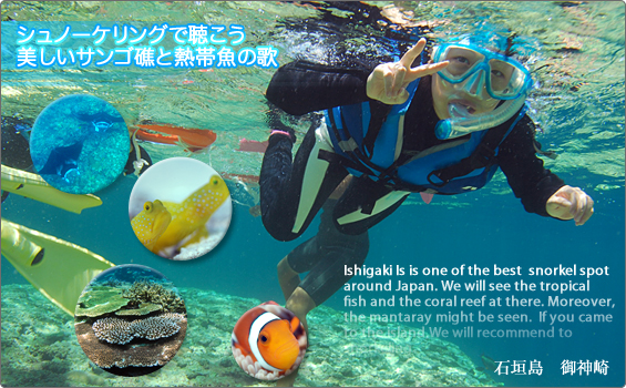 �Ί_���ŃV���m�[�P�����O