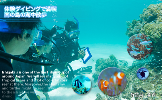 �Ί_���ő̌��_�C�r���O