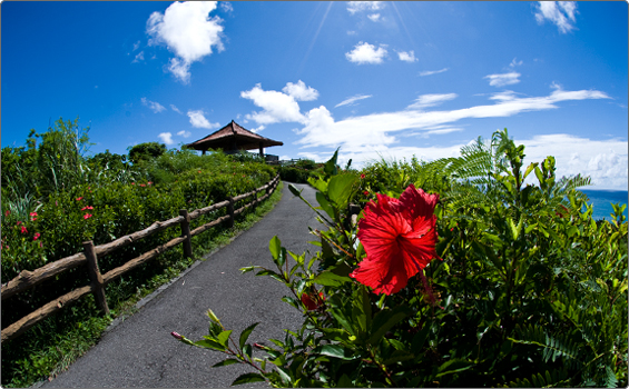 �Ί_���ʎ��W�]��